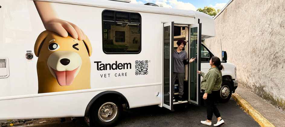 Pet healthcare startup Tandem raises $10m to redefine veterinary care